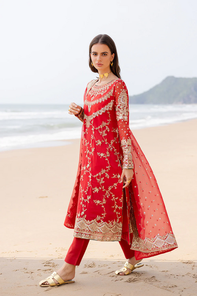 3 Piece Embroirdered Chiffon