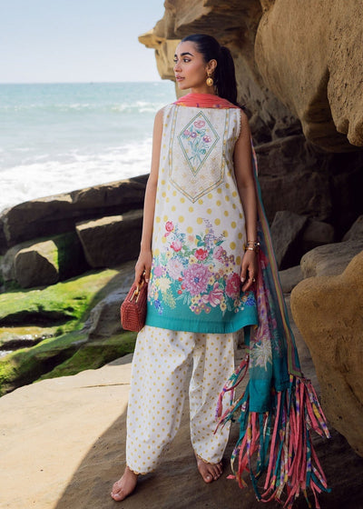 SIRAA EVERYDAY Lawn