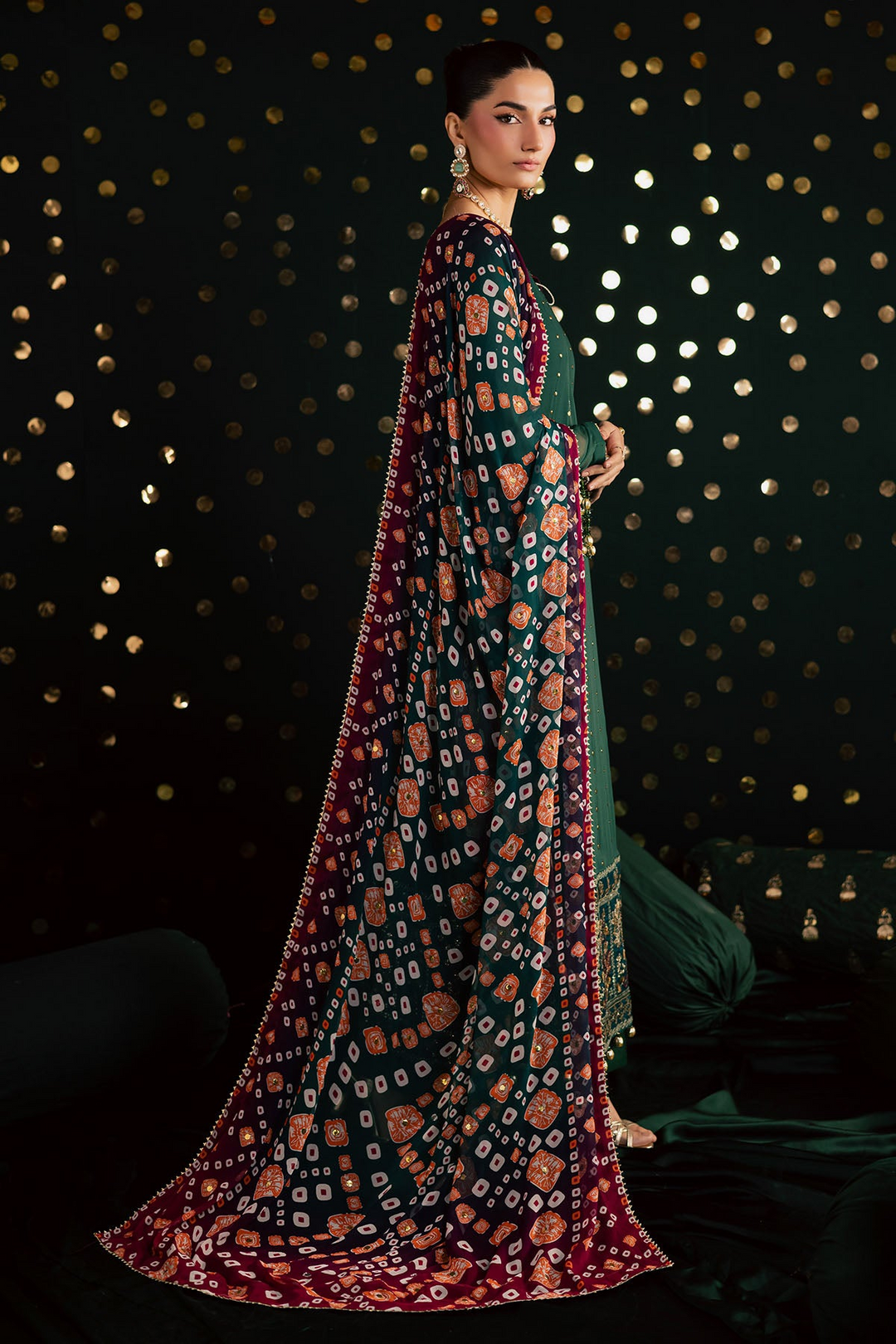 Mukeshkari Embroidered Chiffon