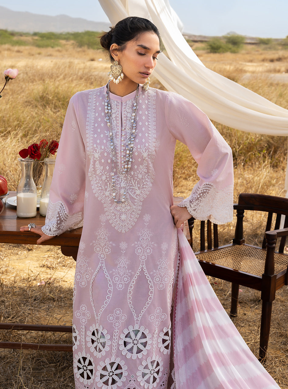 Spring Summer Collections
