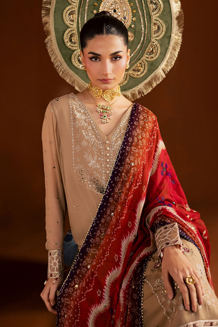 Mukeshkari Embroidered Chiffon