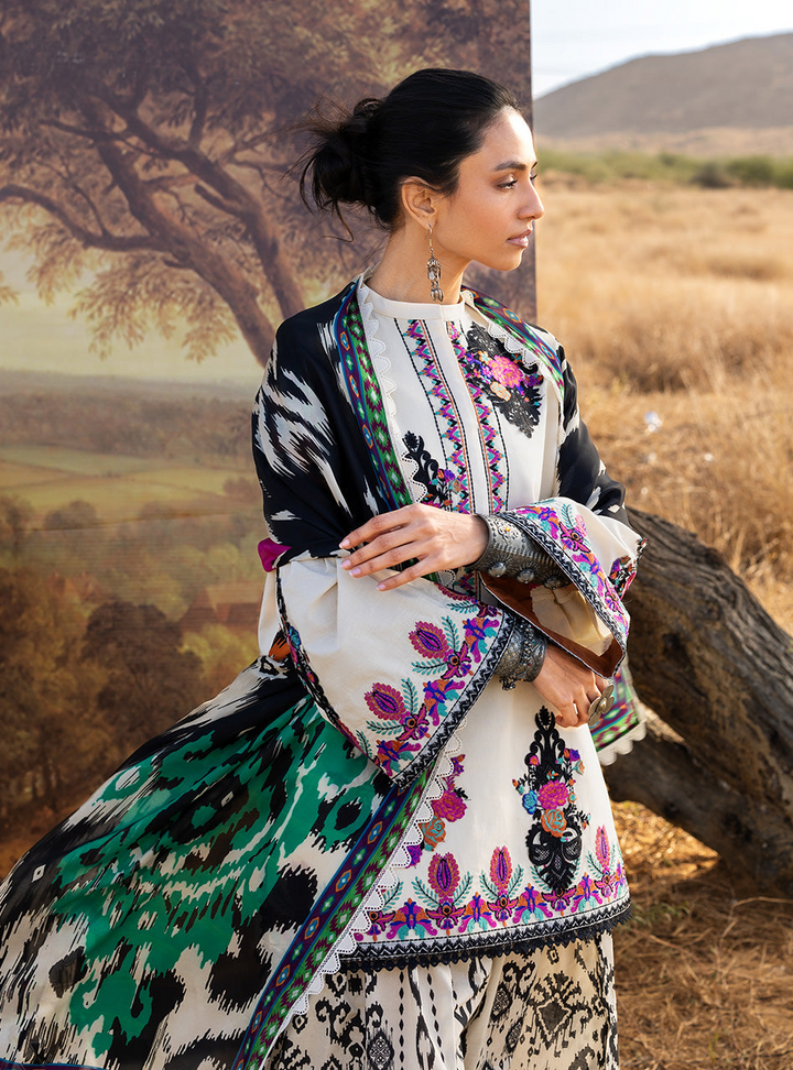 Spring Summer Collections