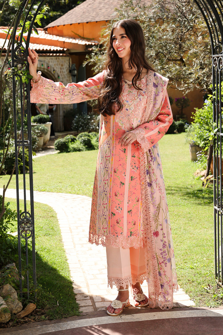 Lifestyle Summer Lawn