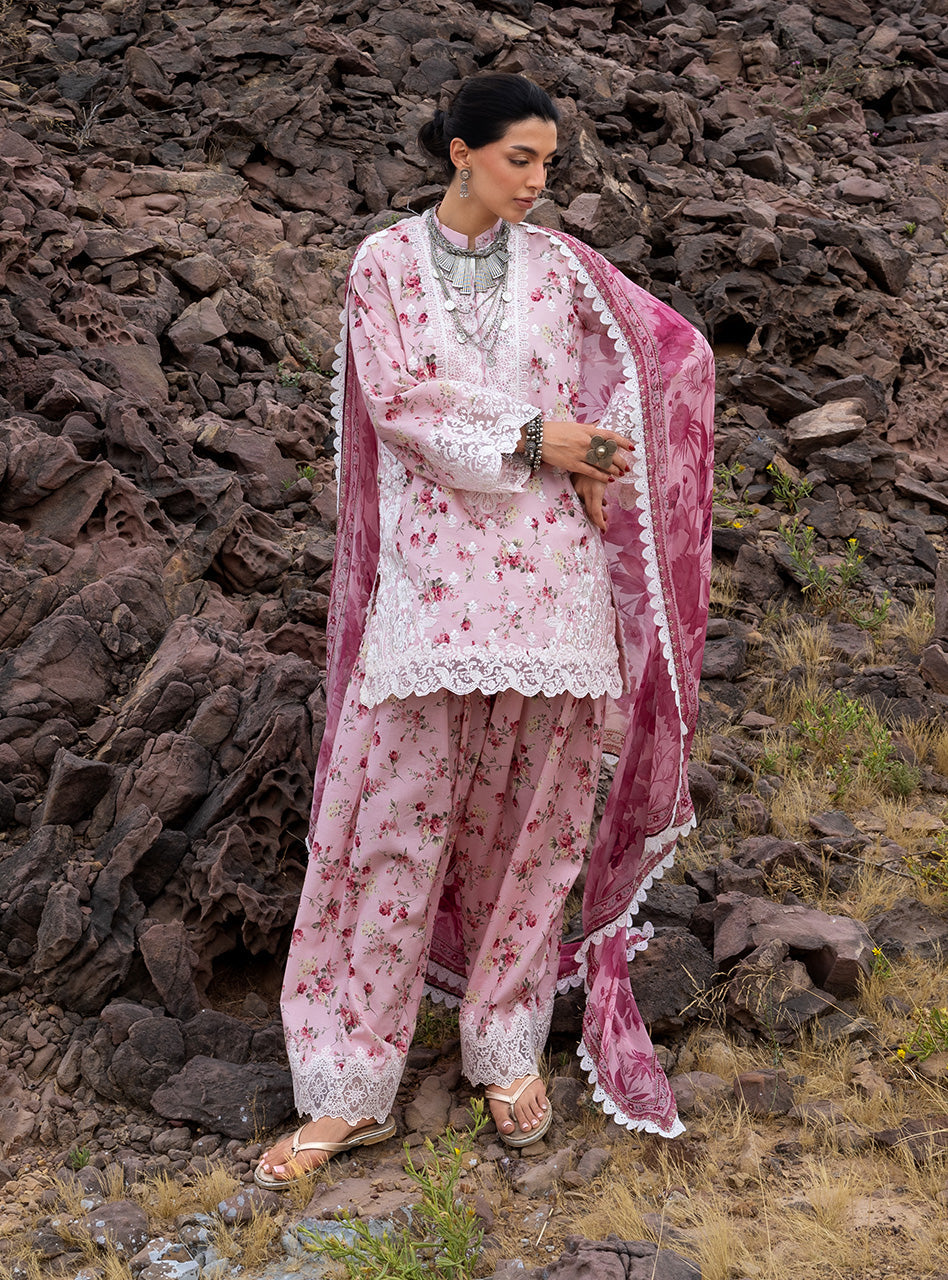 Spring Summer Collections