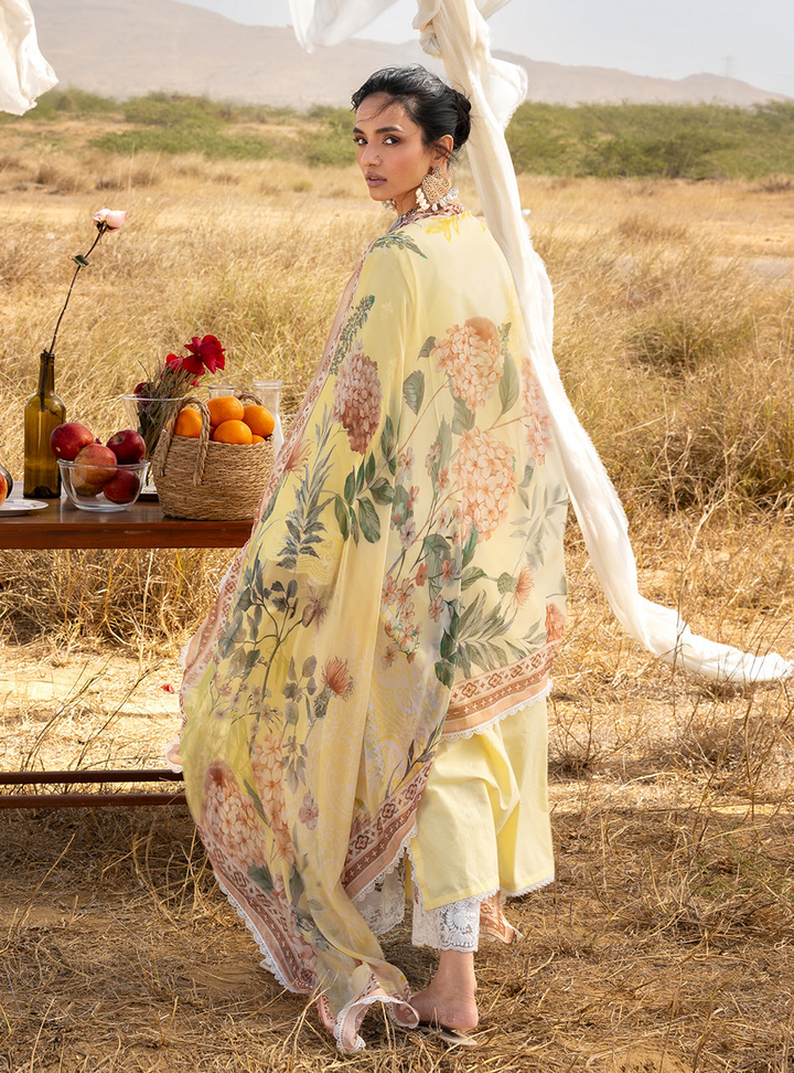Spring Summer Collections