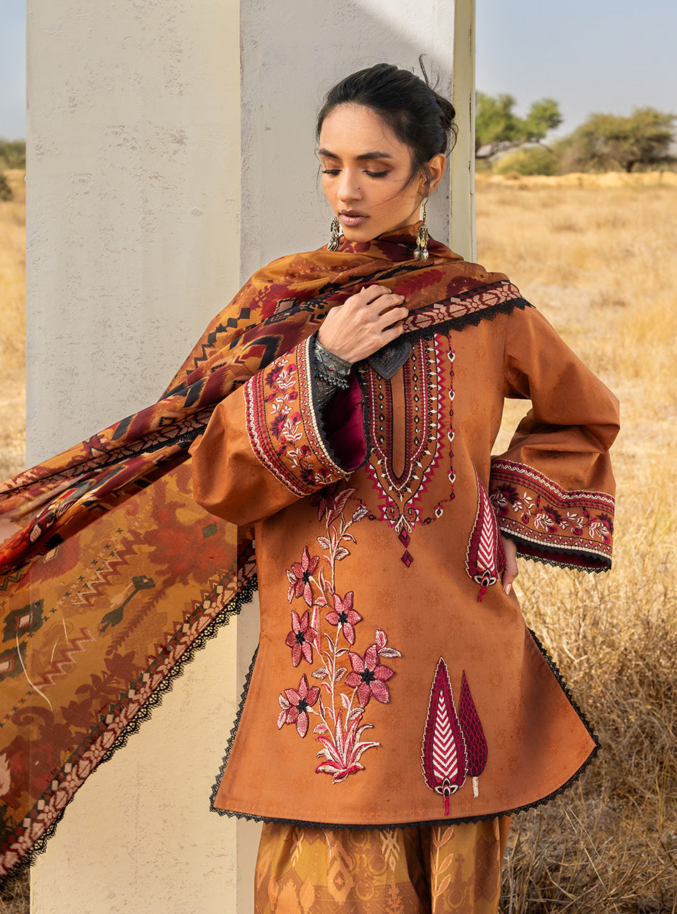Spring Summer Collections