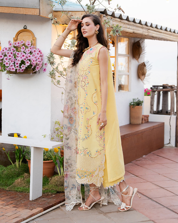 3Pc Lawn Embroidered Suit