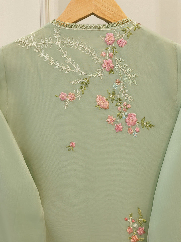 2 Piece - Pure Chiffon Embroidered Suit