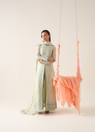 Freesia Zaib Embroirdered Chiffon