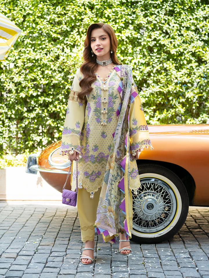 Ombre Starlet  Lawn
