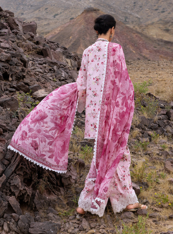 Spring Summer Collections