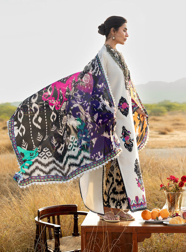 Spring Summer Collections