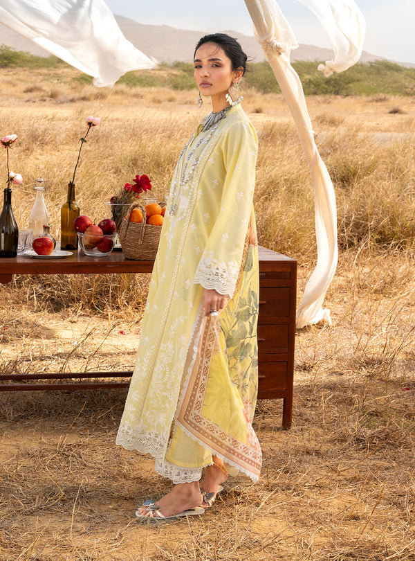 Spring Summer Collections