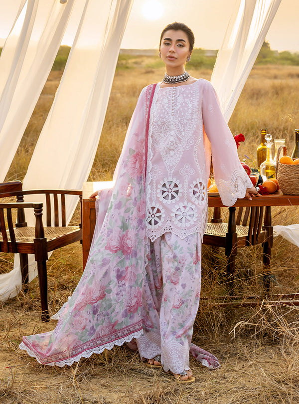 Spring Summer Collections