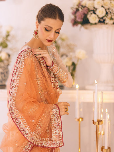 ROHEENAZ-SAWARIYA LUXURY KALIDAAR CHIFFON-01