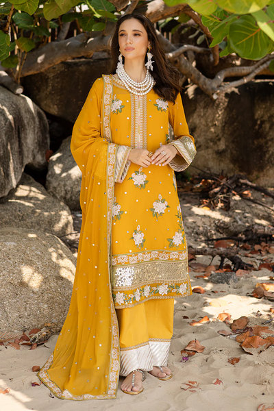 3 Piece Embroirdered Chiffon