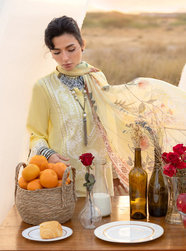 Spring Summer Collections