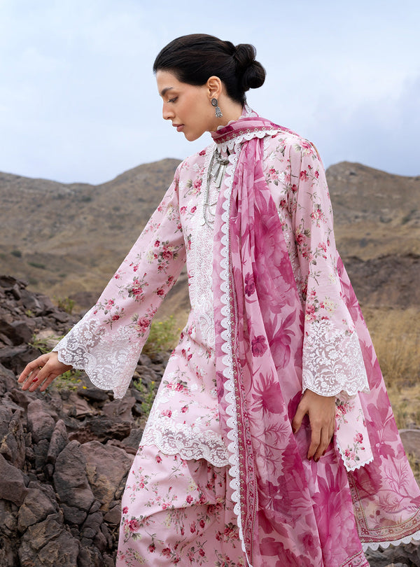 Spring Summer Collections