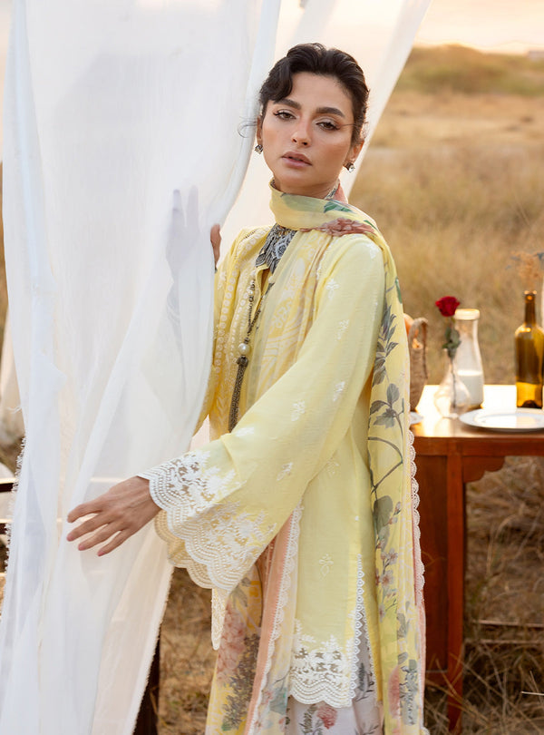 Spring Summer Collections