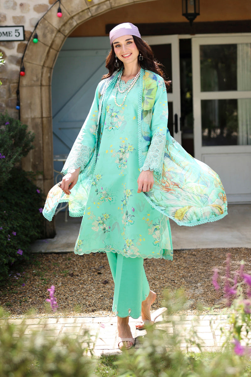 Lifestyle Summer Lawn