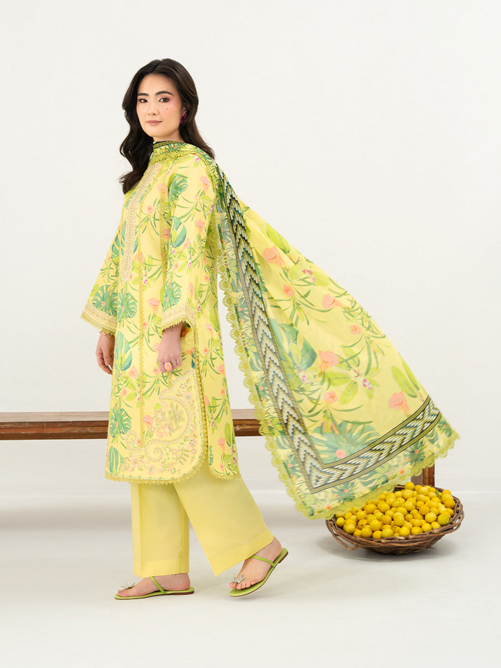 Anaya Lawn 3 PC