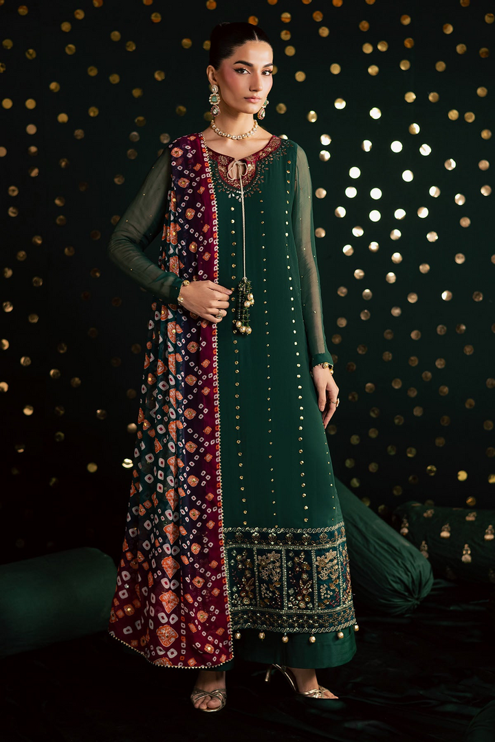 Mukeshkari Embroidered Chiffon