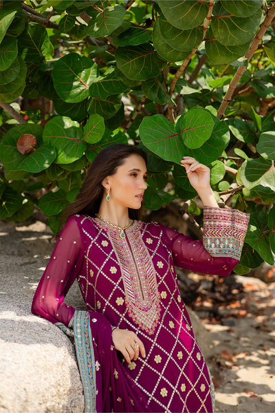 3 Piece Embroirdered Chiffon