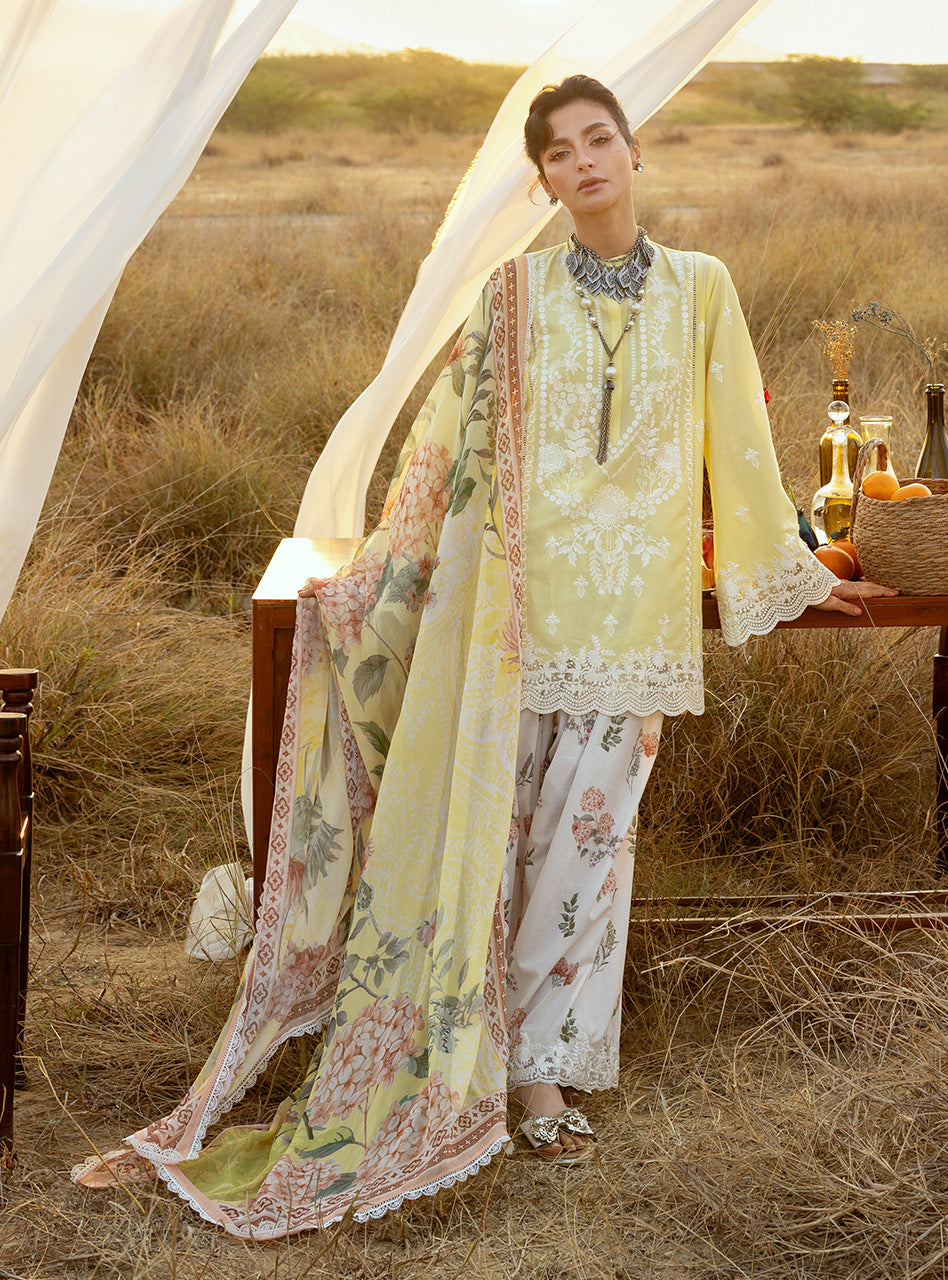 Spring Summer Collections