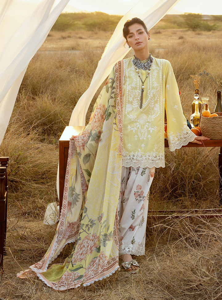 Spring Summer Collections