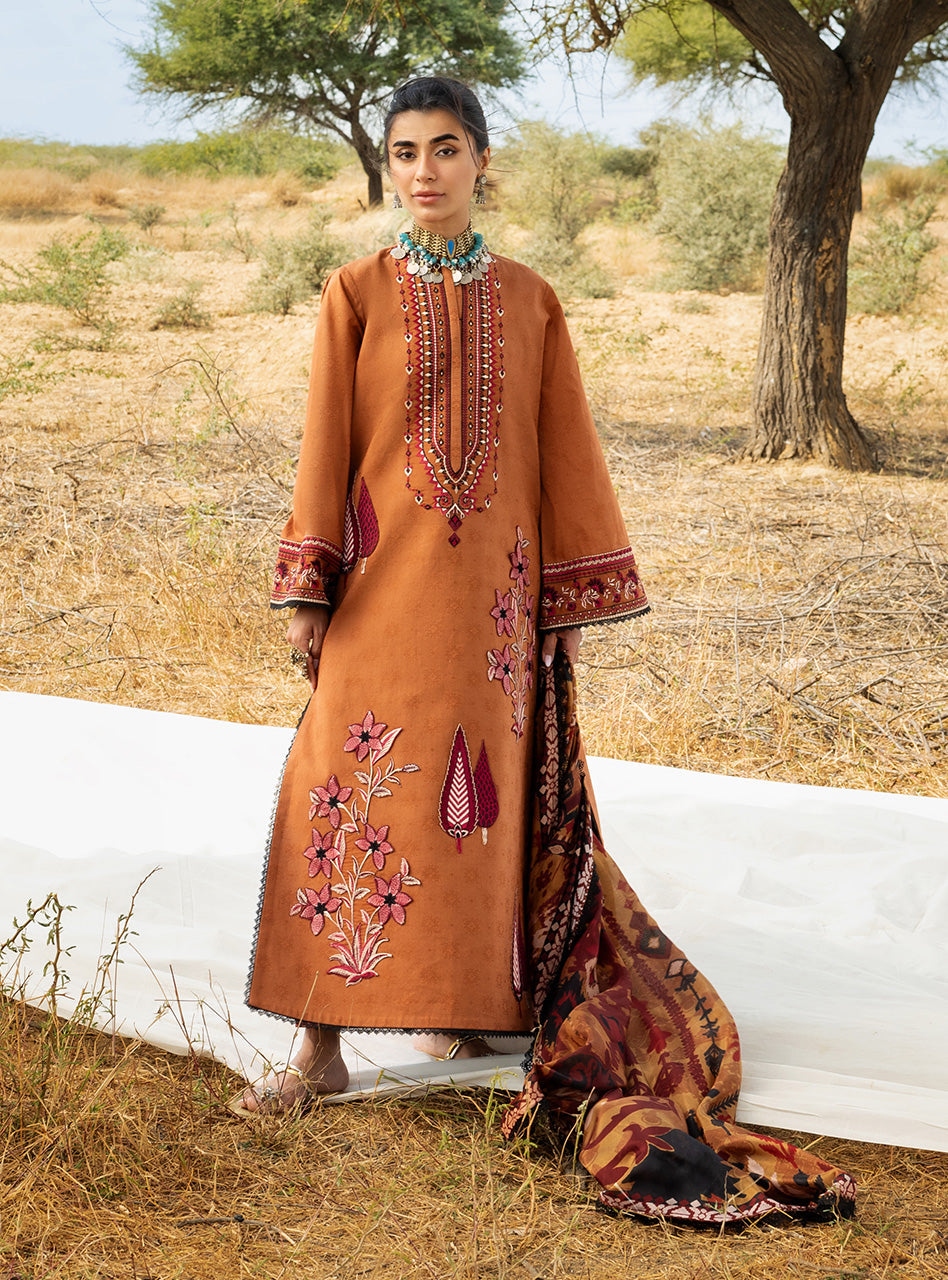 Spring Summer Collections
