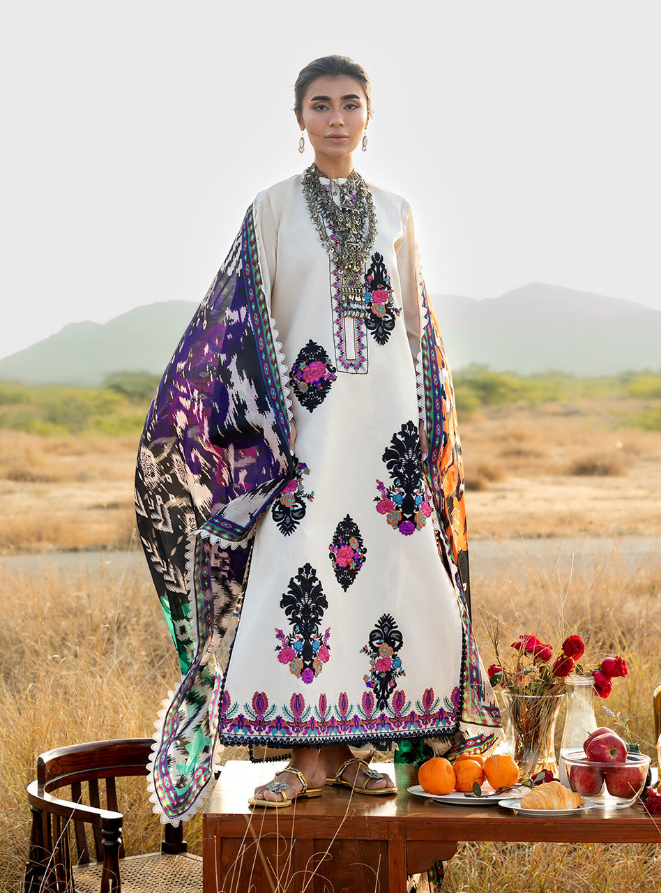 Spring Summer Collections