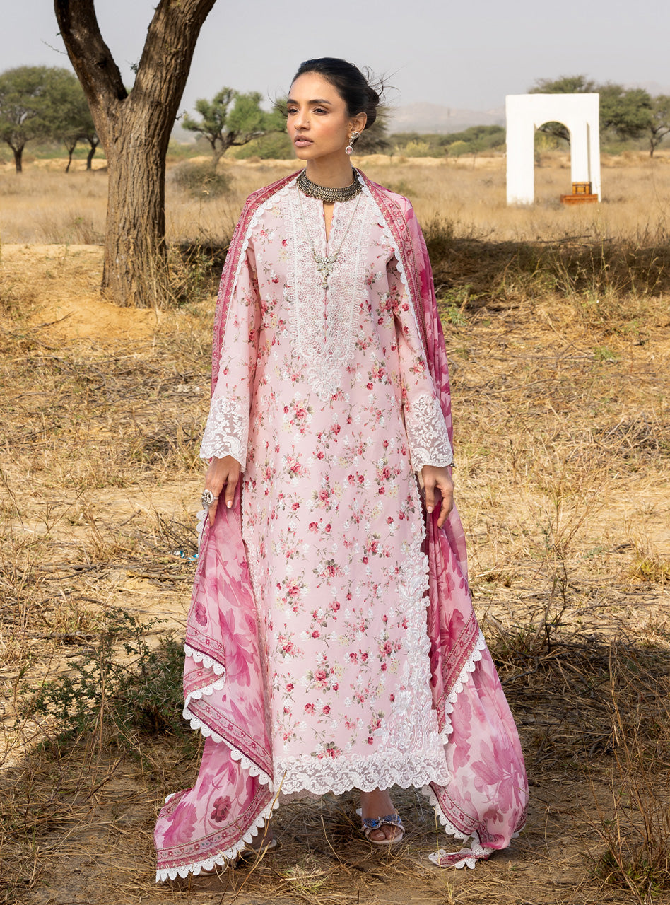 Spring Summer Collections