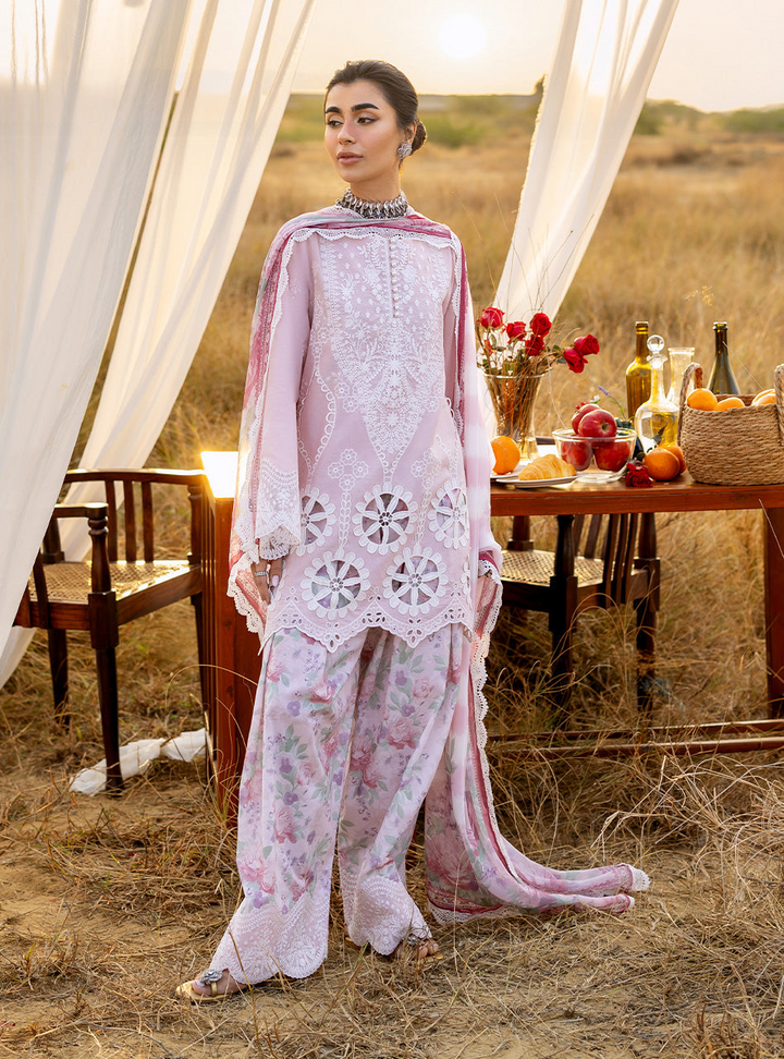 Spring Summer Collections