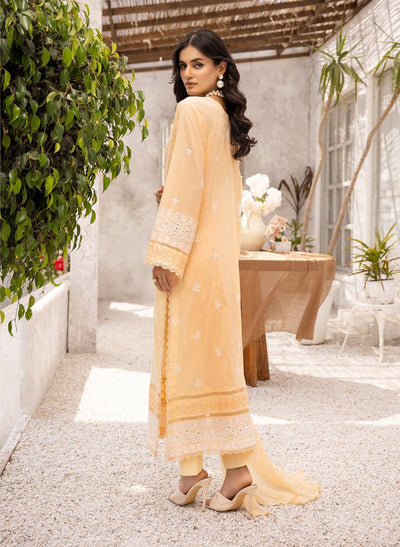 Signature white thread Collection