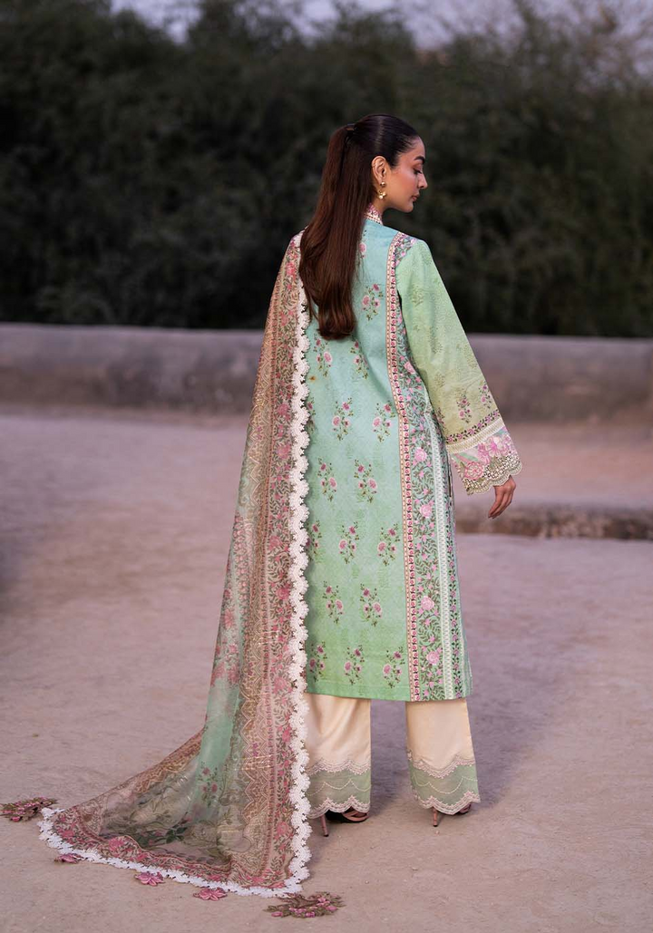 Luxury Lawn Collection