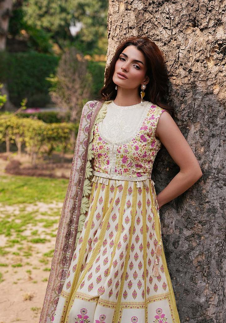 Luxury Lawn Collection