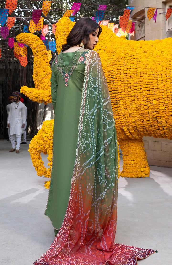 BANDHANI  The Tales Of Jaipur