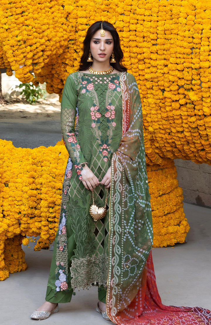 BANDHANI  The Tales Of Jaipur
