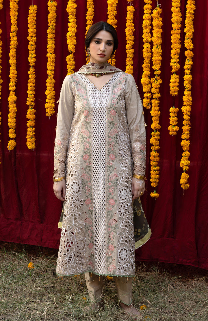 BANDHANI  The Tales Of Jaipur