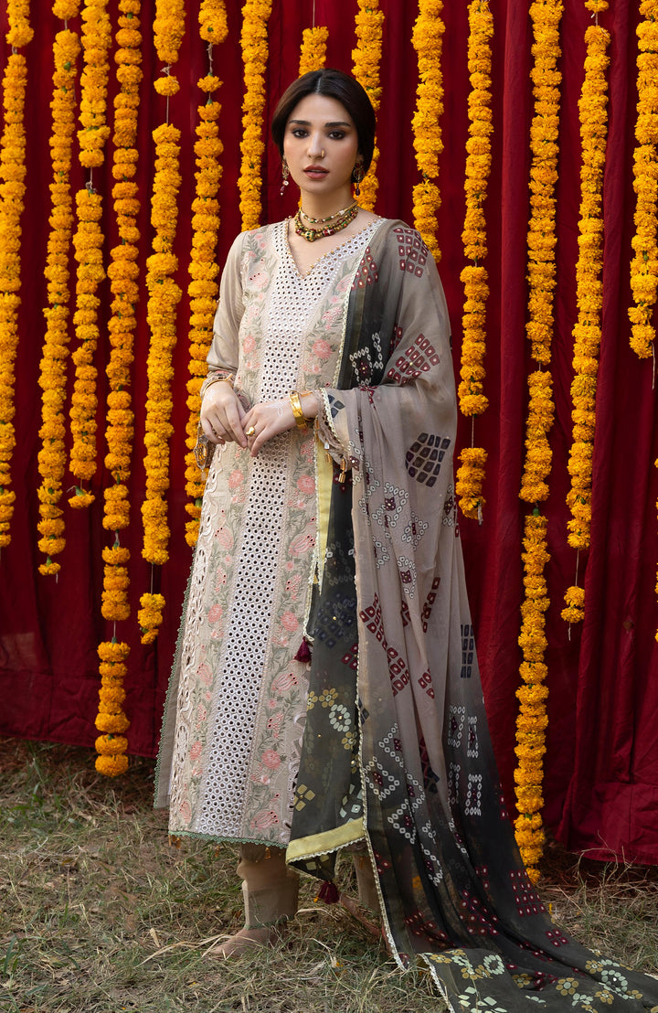 BANDHANI  The Tales Of Jaipur