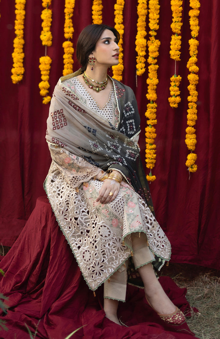 BANDHANI  The Tales Of Jaipur