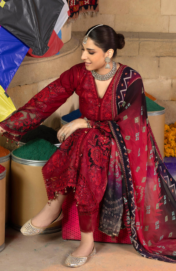 BANDHANI  The Tales Of Jaipur