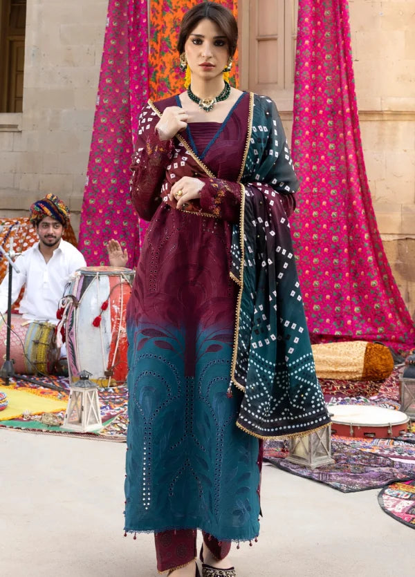 BANDHANI  The Tales Of Jaipur