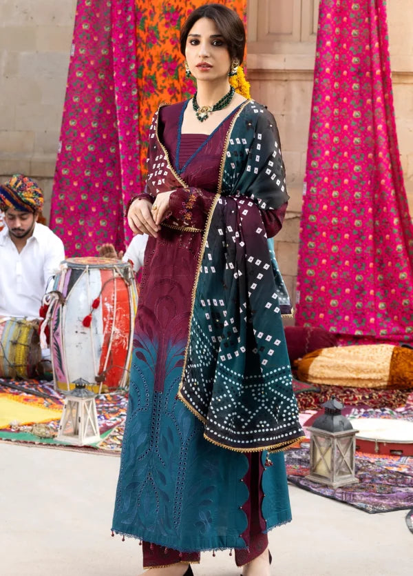 BANDHANI  The Tales Of Jaipur