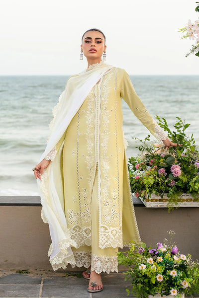 Embroidered Lawn