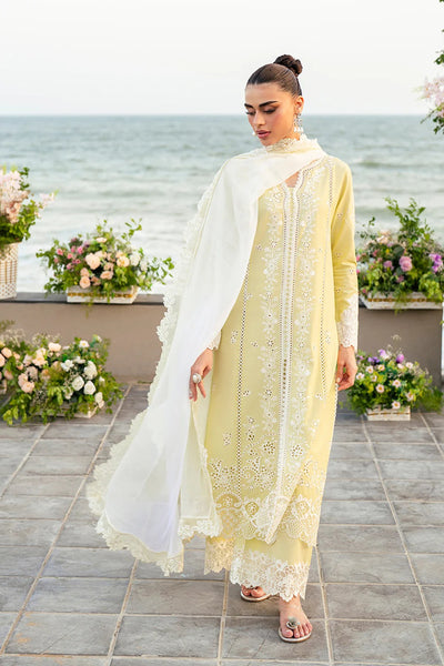 Embroidered Lawn