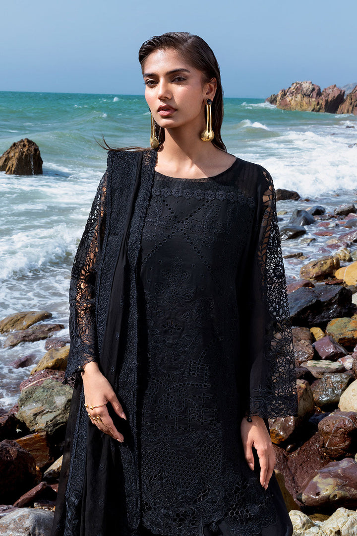 Premium Lawn Collection