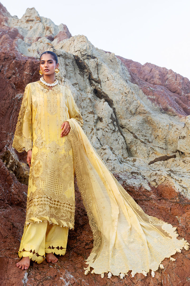 Premium Lawn Collection