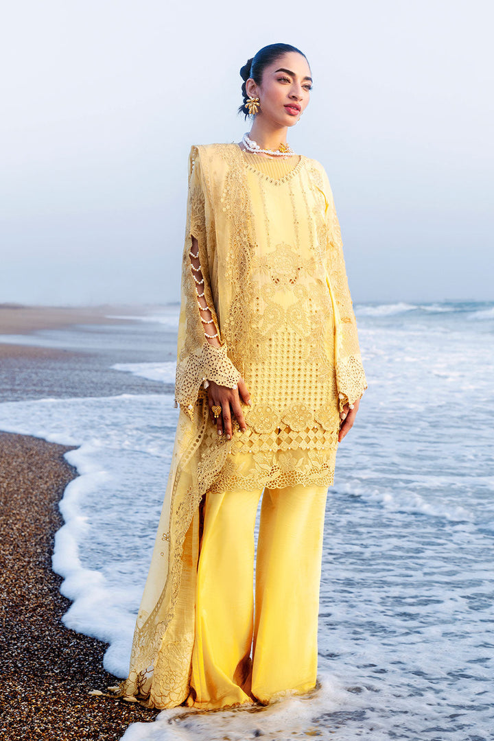 Premium Lawn Collection