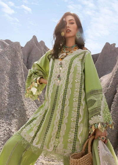 Luxury Lawn